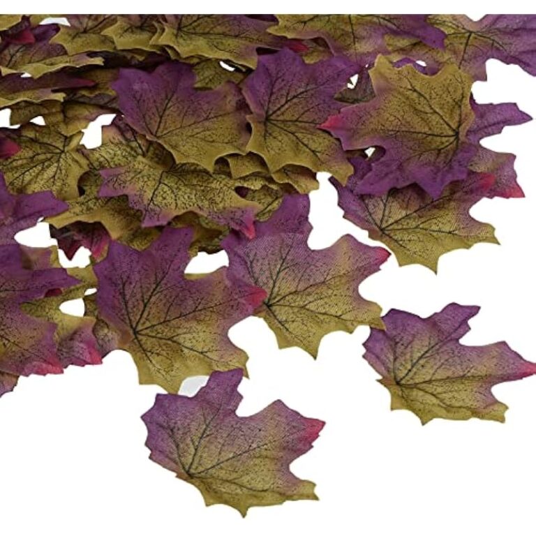 51pifmg5ekl. ac us800 .jpg