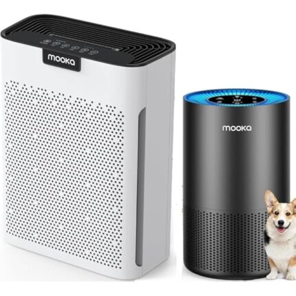 51qvrx5osbl. ac us800 .jpg