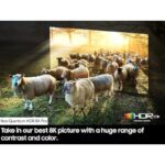 51qd1sna8kl. ac us800 .jpg