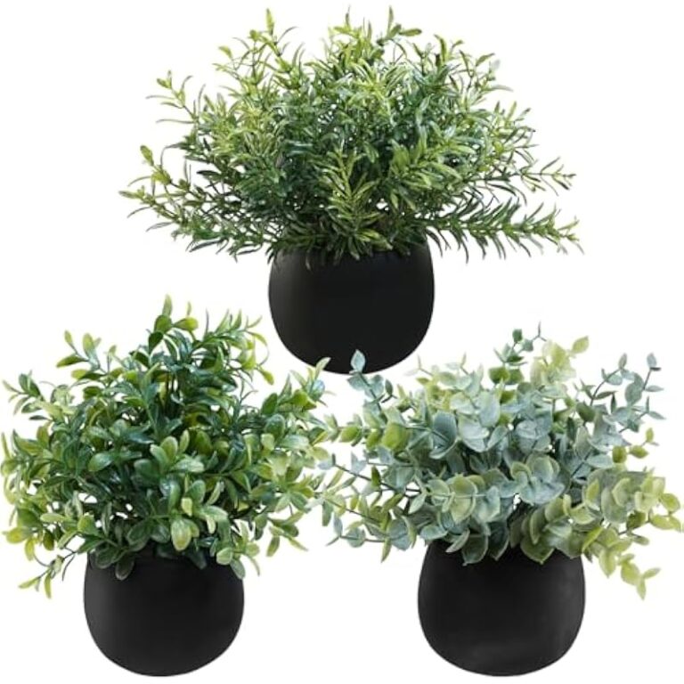 51rryiiipul. ac us800 .jpg