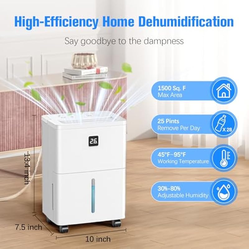 51rsjvlawol. ac us800 .jpg