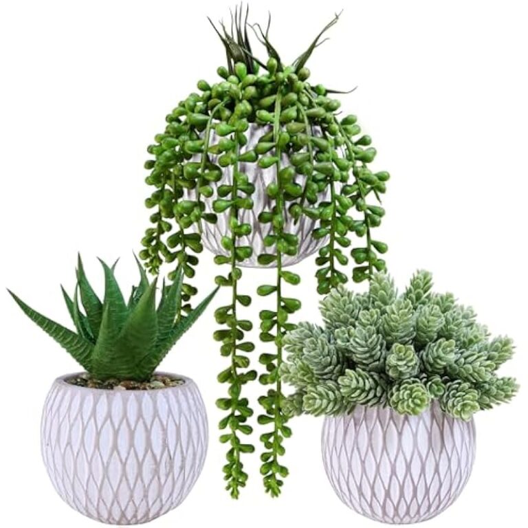 51ttouulscl. ac us800 .jpg