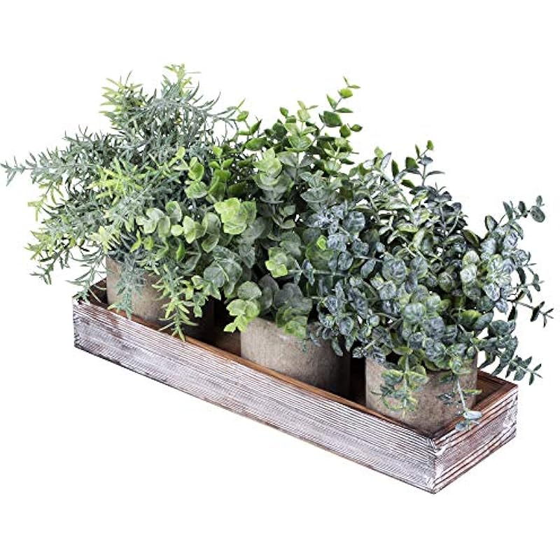 51ttr6yczcl. ac us800 .jpg