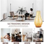 51vwlkuitgs. ac us800 .jpg