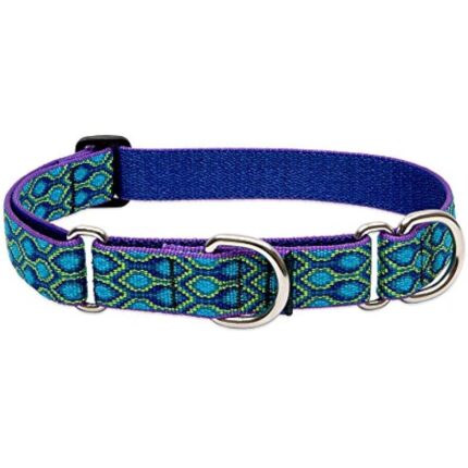 51vx6ln9jbl. ac us800 .jpg