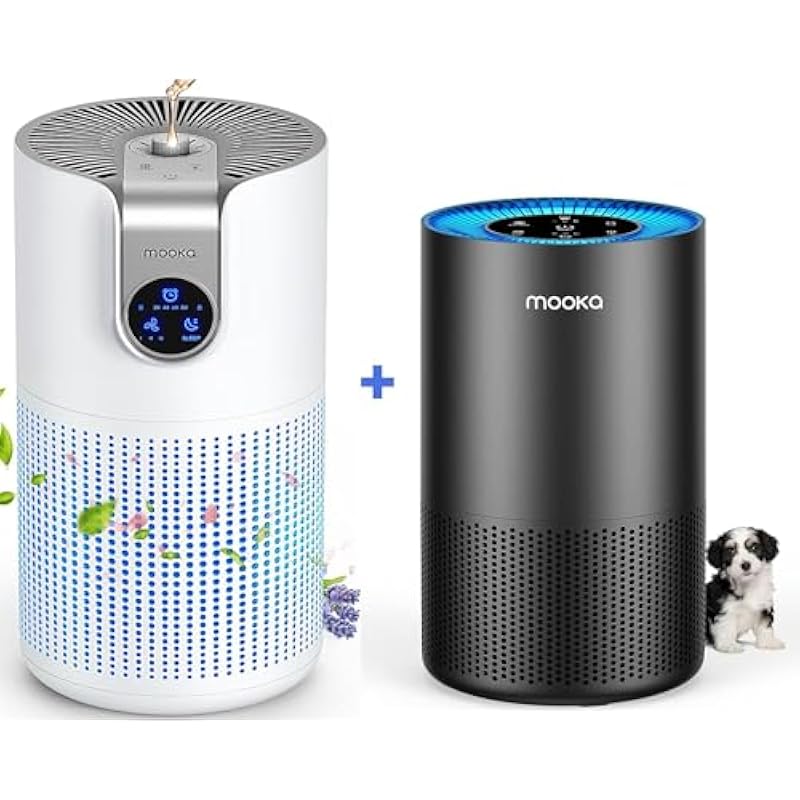 51w1x0rz3nl. ac us800 .jpg