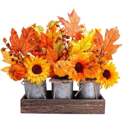 51wbxpt7k0l. ac us800 .jpg