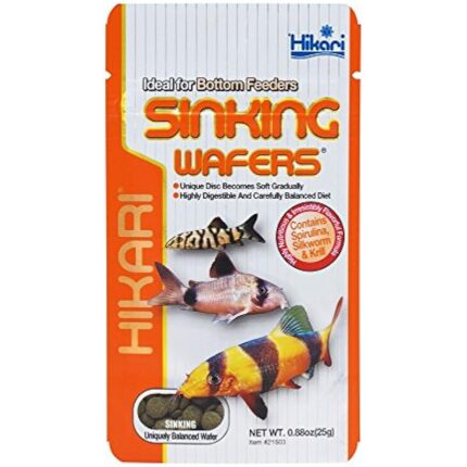 51wn8aj1brl. ac us800 .jpg