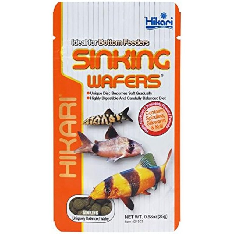 51wn8aj1brl. ac us800 .jpg