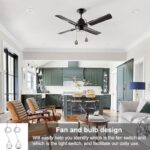 51ypkvevw7l. ac us800 .jpg