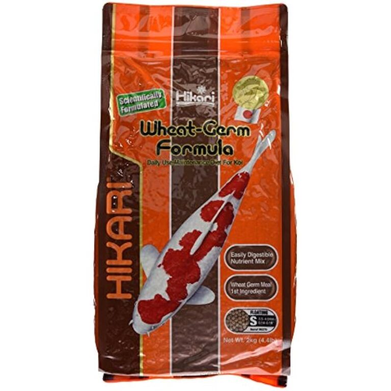 51z02dbqayl. ac us800 .jpg