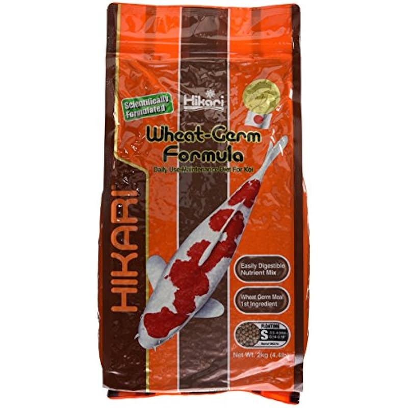 51z02dbqayl. ac us800 .jpg