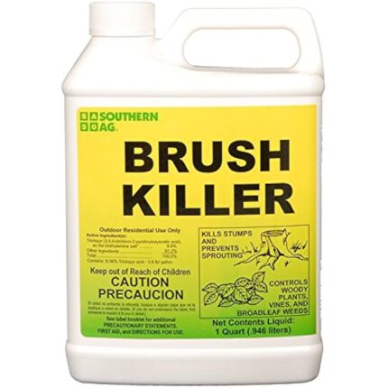 51zyjnaq7rl. ac us800 .jpg