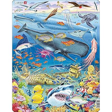 61nvrkbmm5l. ac us800 .jpg