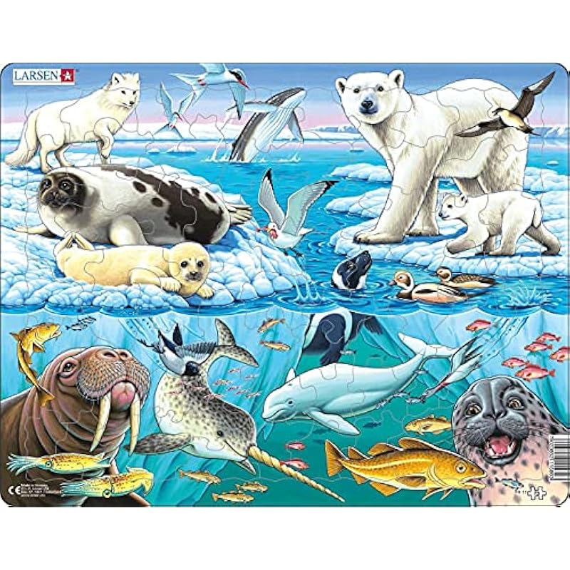 61r9cylssl. ac us800 .jpg