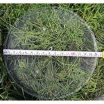 61etwgxerl. ac us800 .jpg