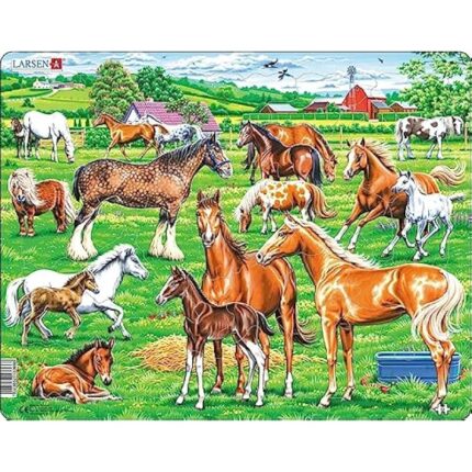 61jjh9glz8l. ac us800 .jpg