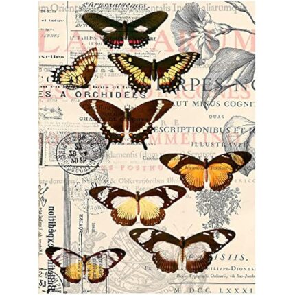 61nirw9vaol. ac us800 .jpg